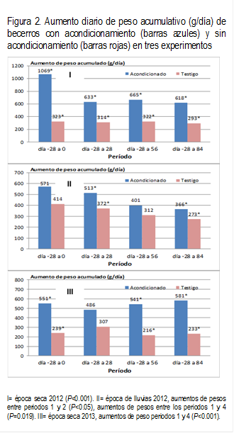 Figura 2. Aumento diario de peso acumulativo (g/día) de becerros con acondicionamiento (barras azules) y sin acondicionamiento (barras rojas) en tres experimentos

 

I= época seca 2012 (P<0.001). II= época de lluvias 2012, aumentos de pesos entre periodos 1 y 2 (P<0.05), aumentos de pesos entre los periodos 1 y 4 (P=0.019). III= época seca 2013, aumentos de peso periodos 1 y 4 (P<0.001). 
