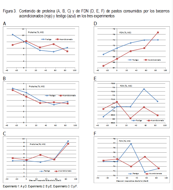 Figura 3.	Contenido de proteína (A, B, C) y de FDN (D, E, F) de pastos consumidos por los becerros acondicionados (rojo) y testigo (azul) en los tres experimentos
A
 	D
 
B
 	E
 
C
 	F
 
Experimento 1: A y D. Experimento 2: B y E. Experimento 3: C y F.
