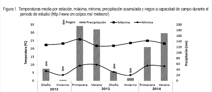 Figura 1. Temperaturas media por estación, máxima, mínima, precipitación acumulada y riegos a capacidad de campo durante el periodo de estudio (http://www.cm.colpos.mx/ meteoro/)
 
