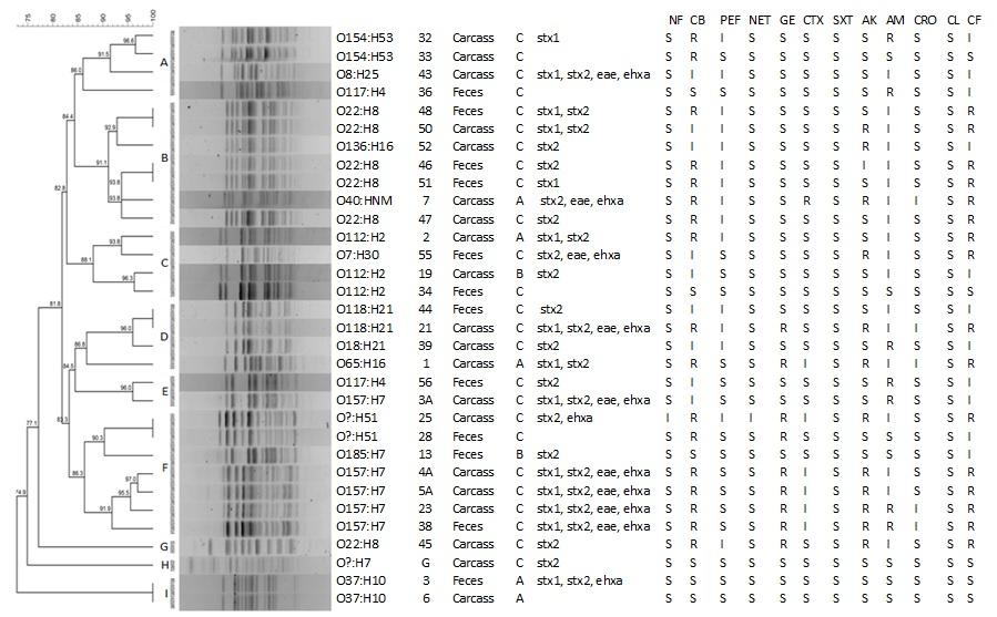 C:\Users\USER\Documents\articulos Nydia 2018\PFGE 2018.jpg