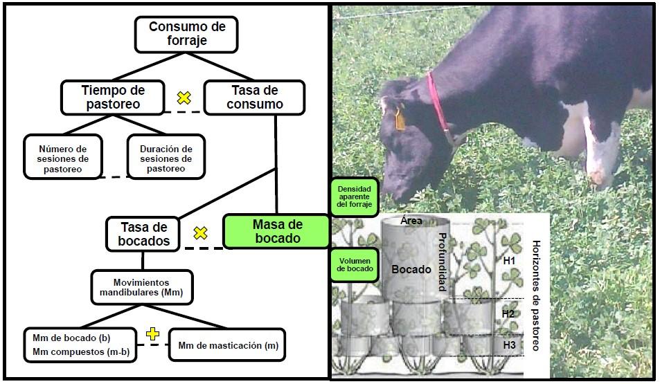 Diagrama

Descripción generada automáticamente con confianza media