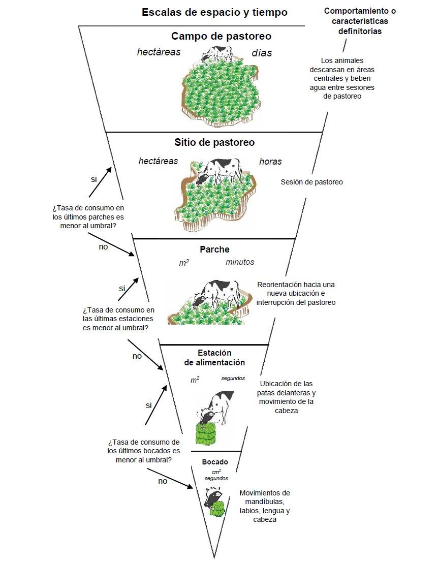 Diagrama

Descripción generada automáticamente