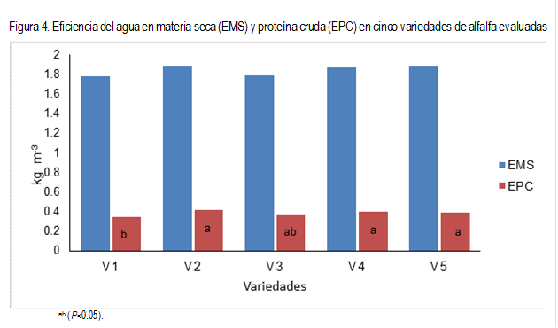 Figura 4. Eficiencia del agua en materia seca (EMS) y proteína cruda (EPC) en cinco variedades de alfalfa evaluadas
 
ab (P<0.05).
